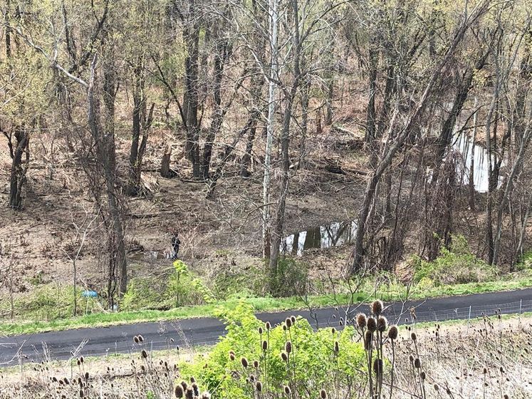Nysp Confirms Human Remains Found Near Chemung River Weny News
