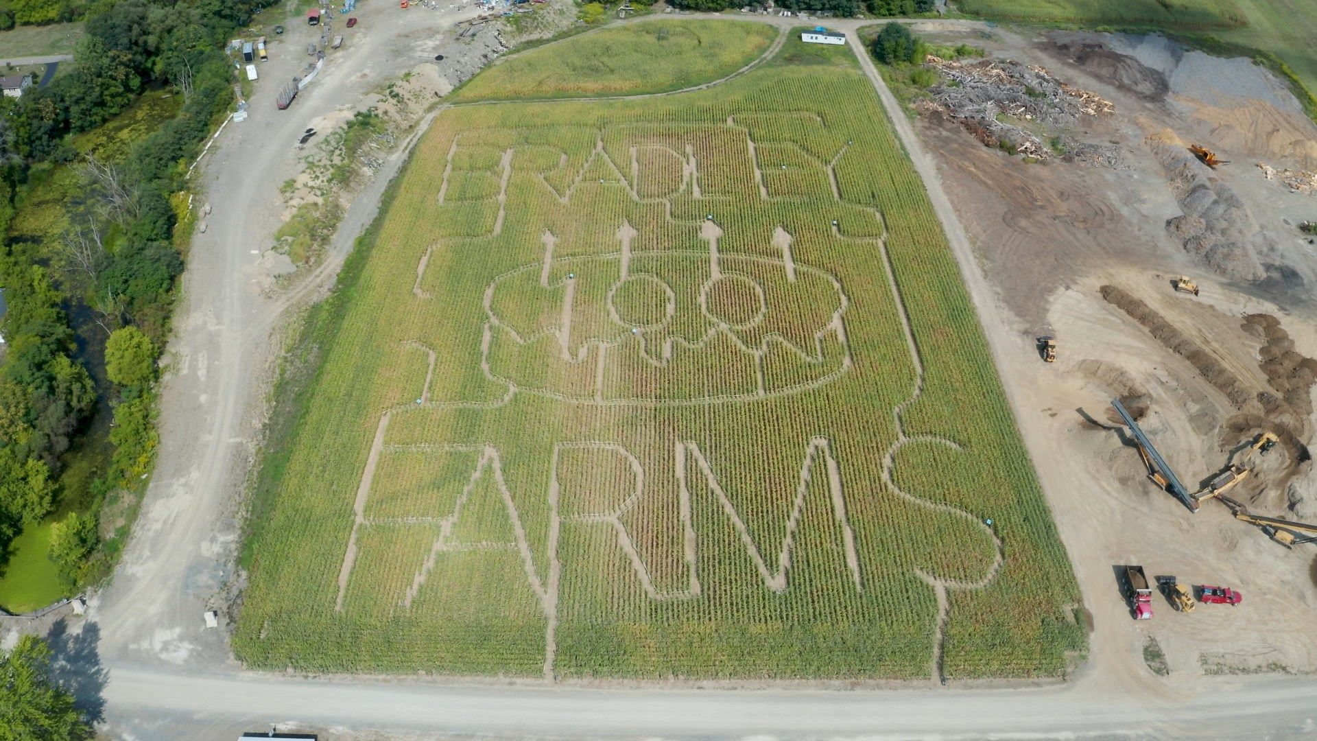 Bradley Farms Adjusts Attractions Due to COVID19 WENY News