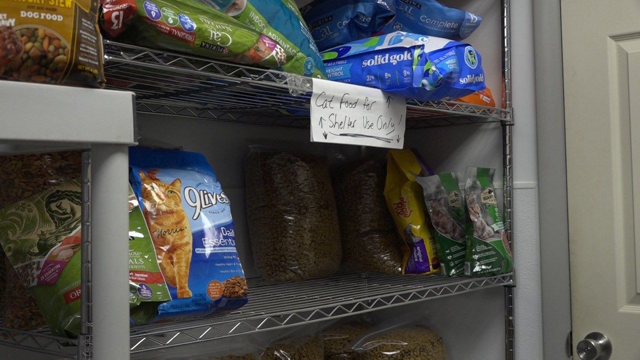 Locals Experience a Shortage of Cat Food WENY News