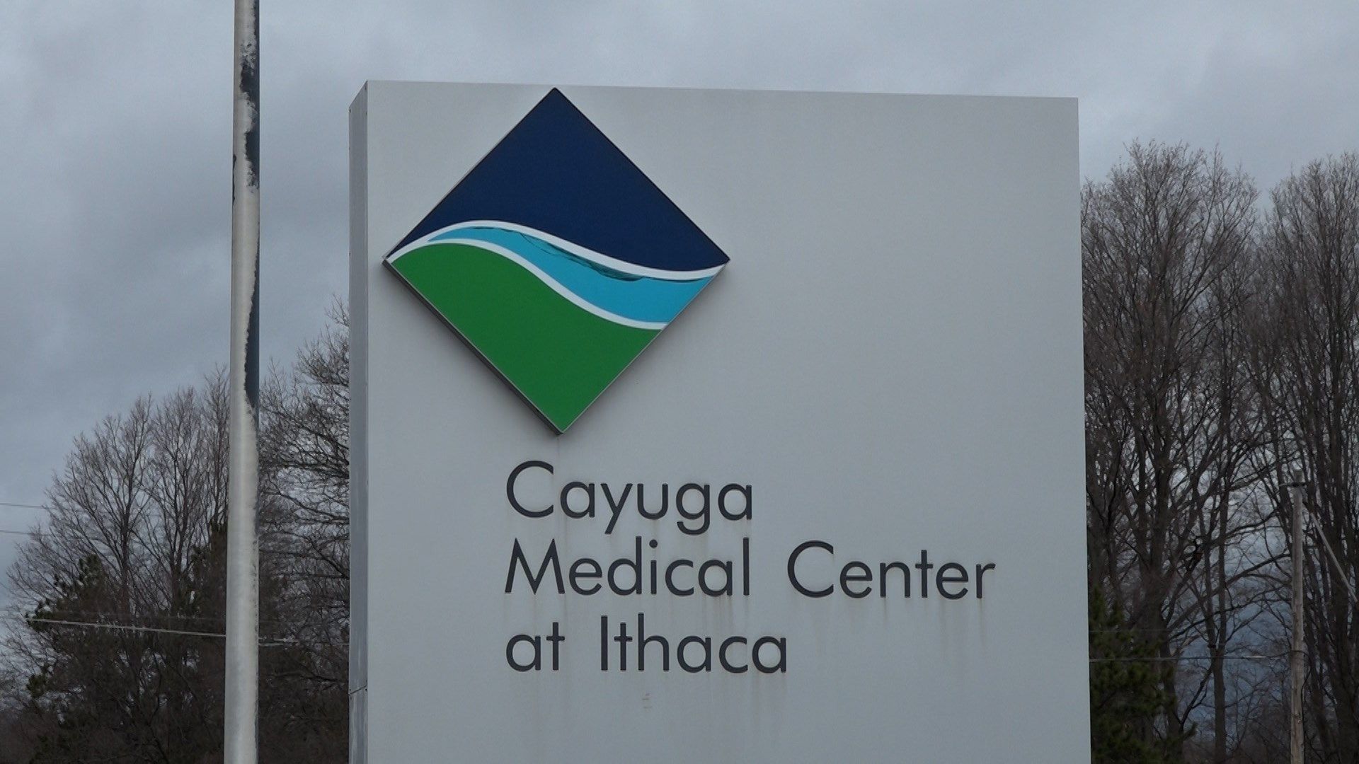 Cayuga Health contributed 675 million to local economy, per report WENY News