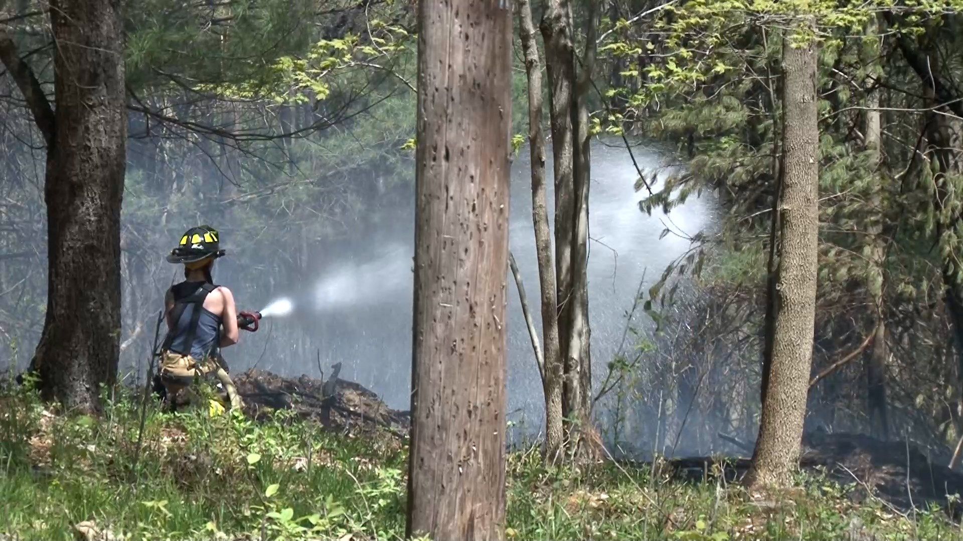 New York unveils new Fire Danger Maps WENY News