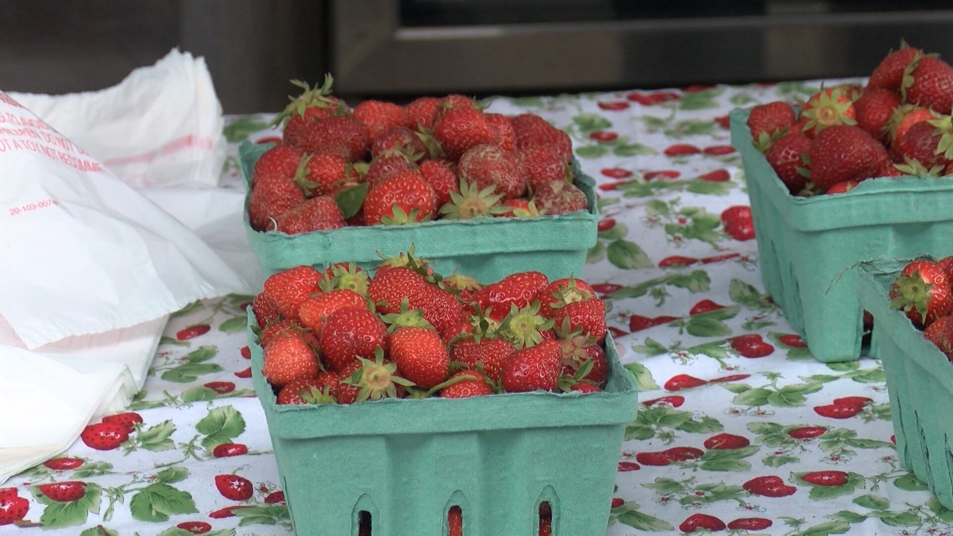 Owego Strawberry Festival Ribbon Cutting WENY News