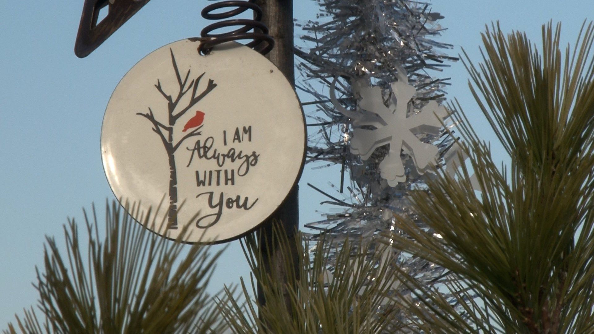 Honoring those who left too soon WENY News