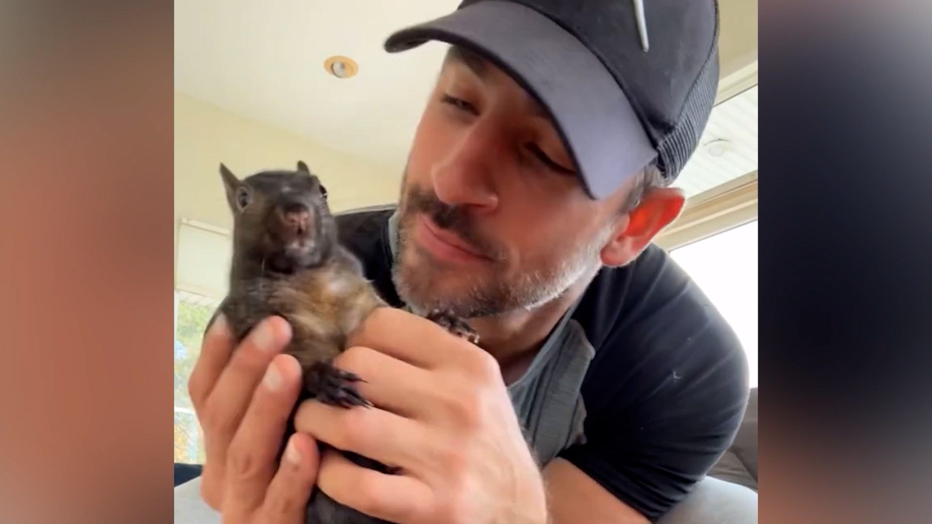 N.Y. DEC promises changes after internal review of Peanut the squirrel